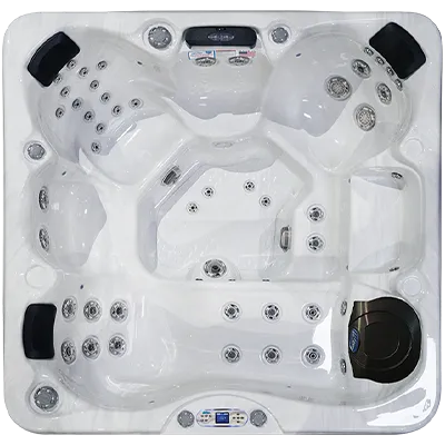 Avalon EC-849L hot tubs for sale in George Morlan